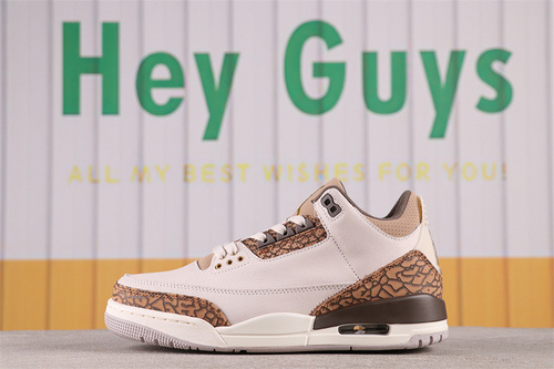 US$66 Air Jordan 3 Palomino CT8532-102 Size 36-47.5