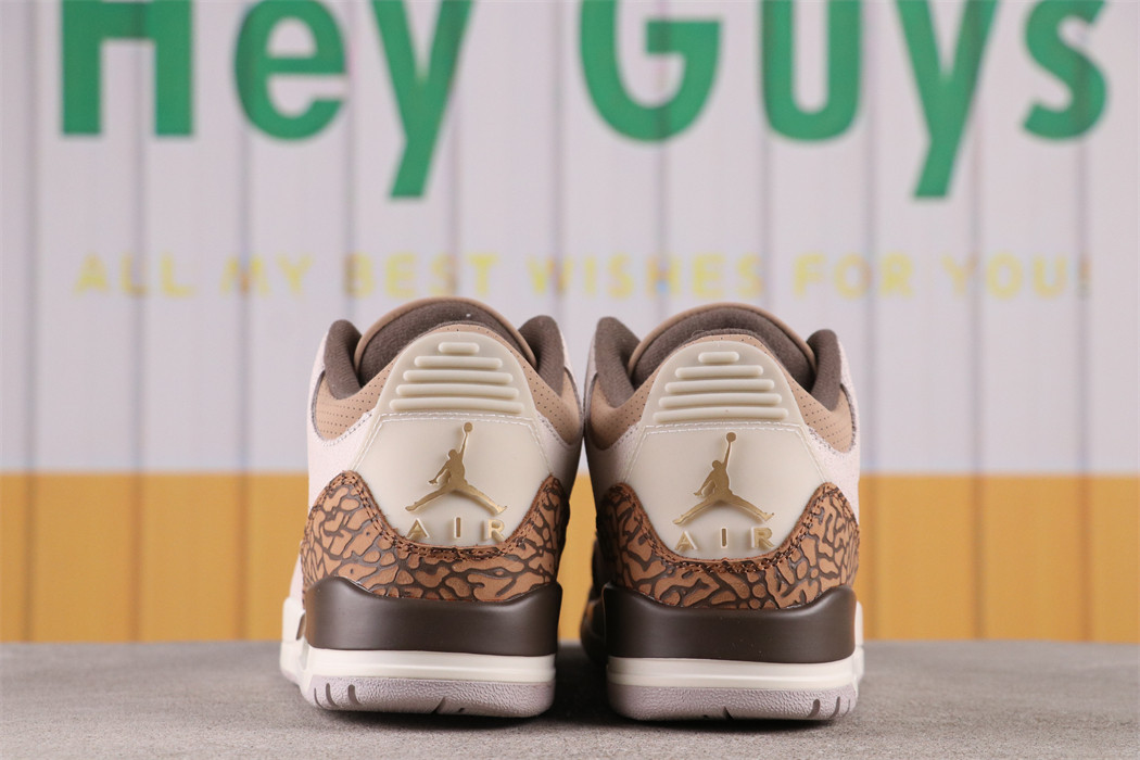 US$66 Air Jordan 3 Palomino CT8532-102 Size 36-47.5