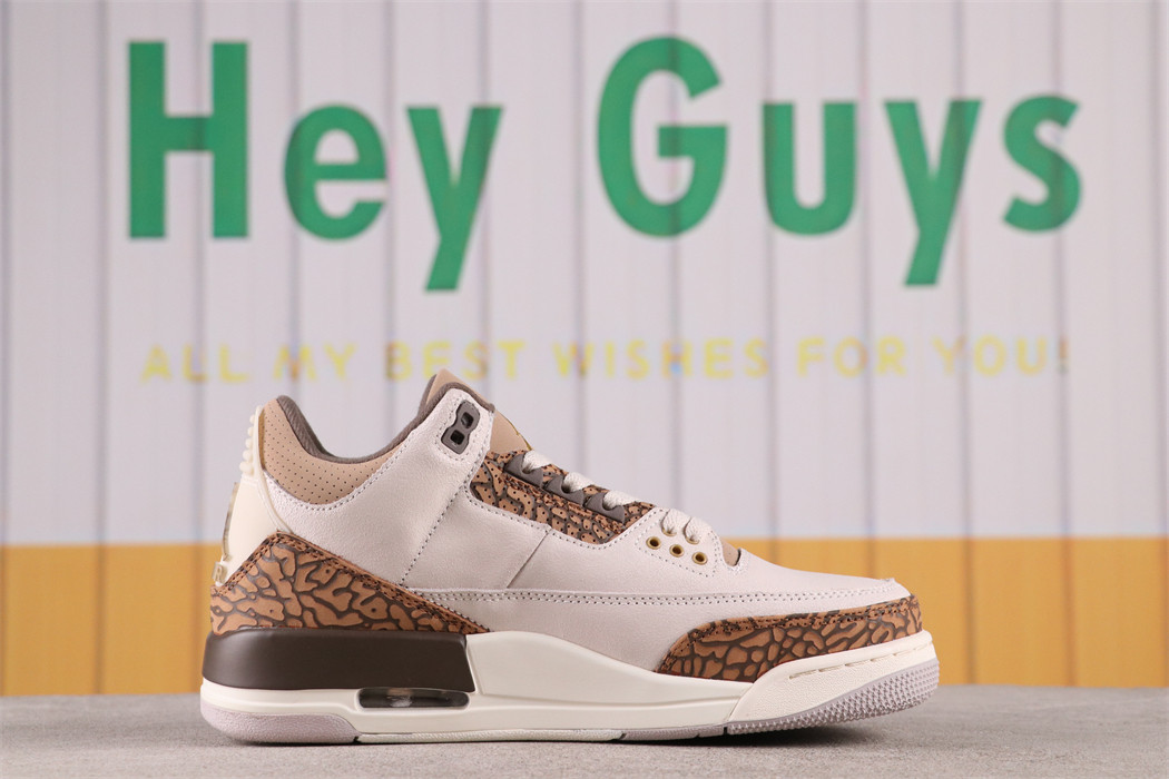 US$66 Air Jordan 3 Palomino CT8532-102 Size 36-47.5