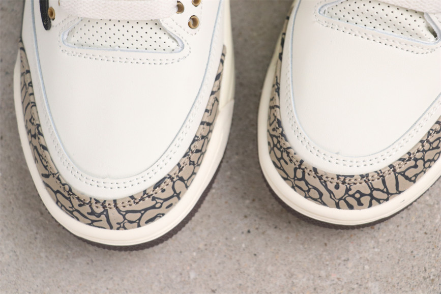 USD$29 Air Jordan 3 Retro Hide And Sneak    Style：136064-168