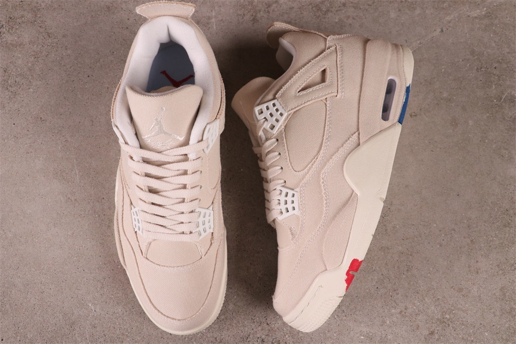 Air Jordan 4 Canvas [DQ4909-100]