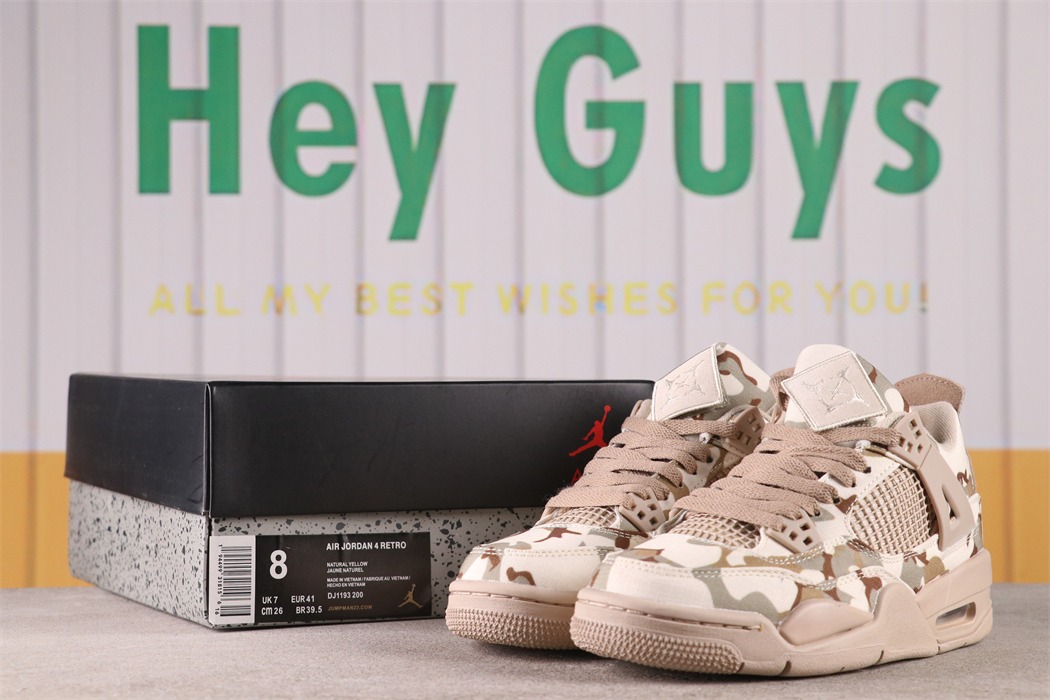 Aleali May x Air Jordan 4 PE [DJ1193-200]