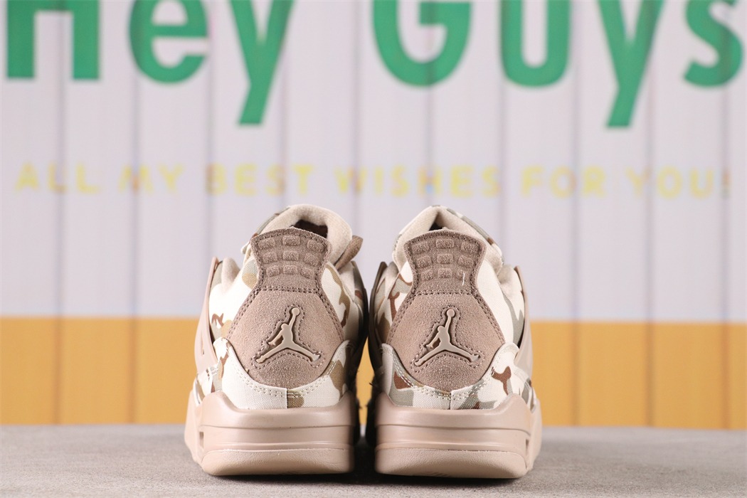 Aleali May x Air Jordan 4 PE [DJ1193-200]