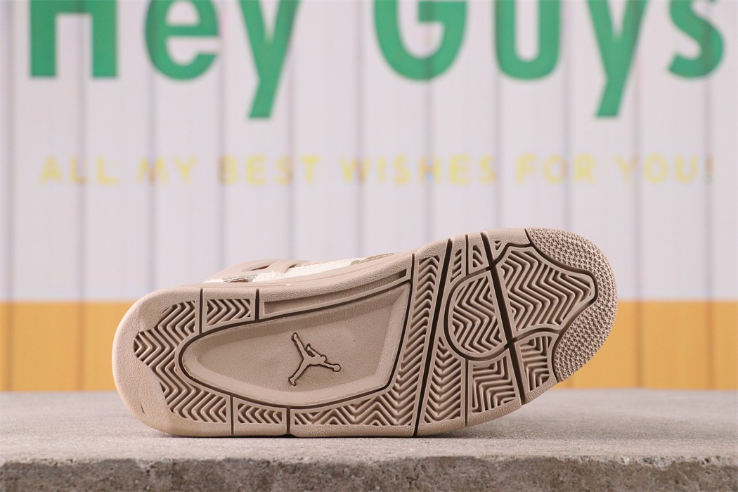 Aleali May x Air Jordan 4 PE [DJ1193-200]