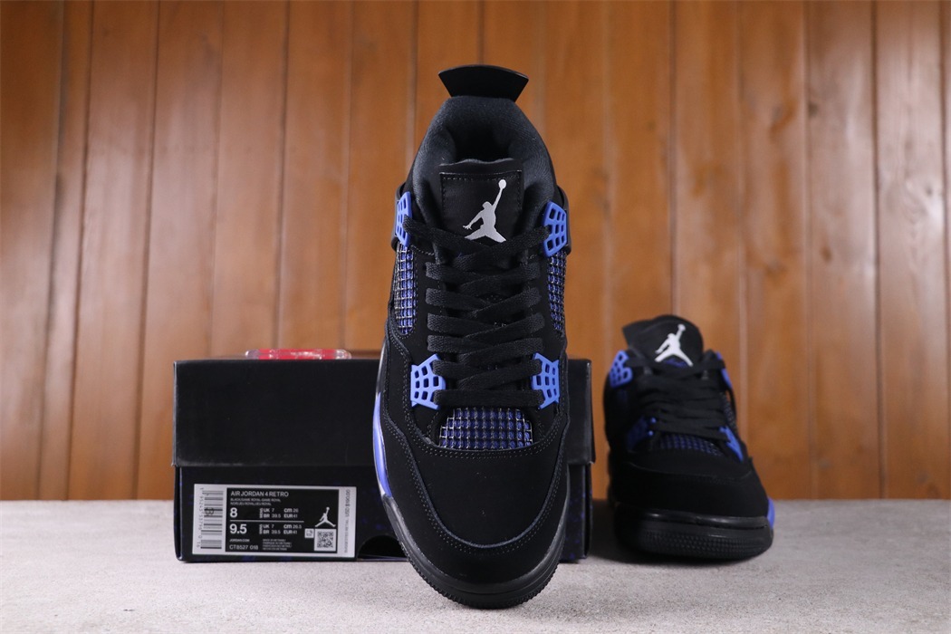 Air Jordan 4 [CT8527-018]