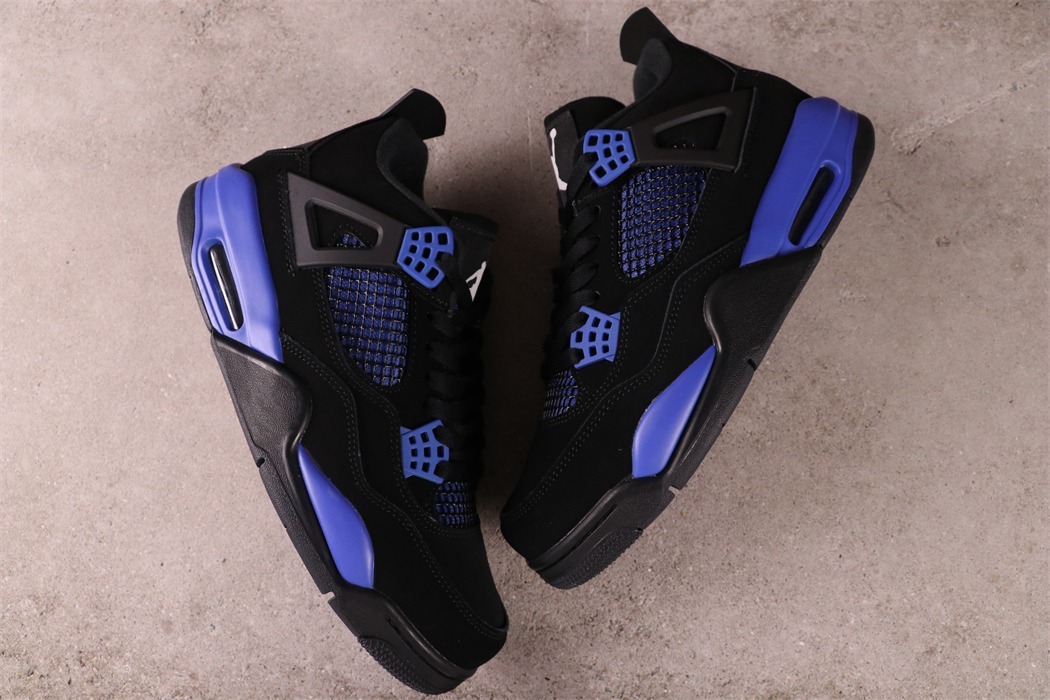 Air Jordan 4 [CT8527-018]
