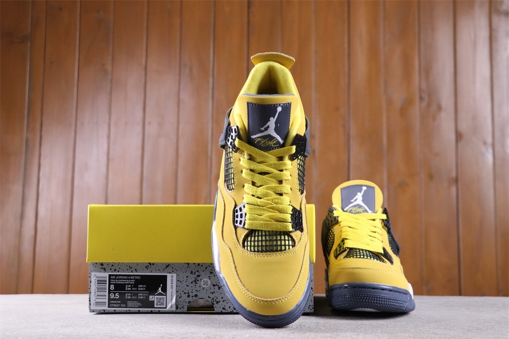 Air Jordan 4 Lightning [CT8527-700]