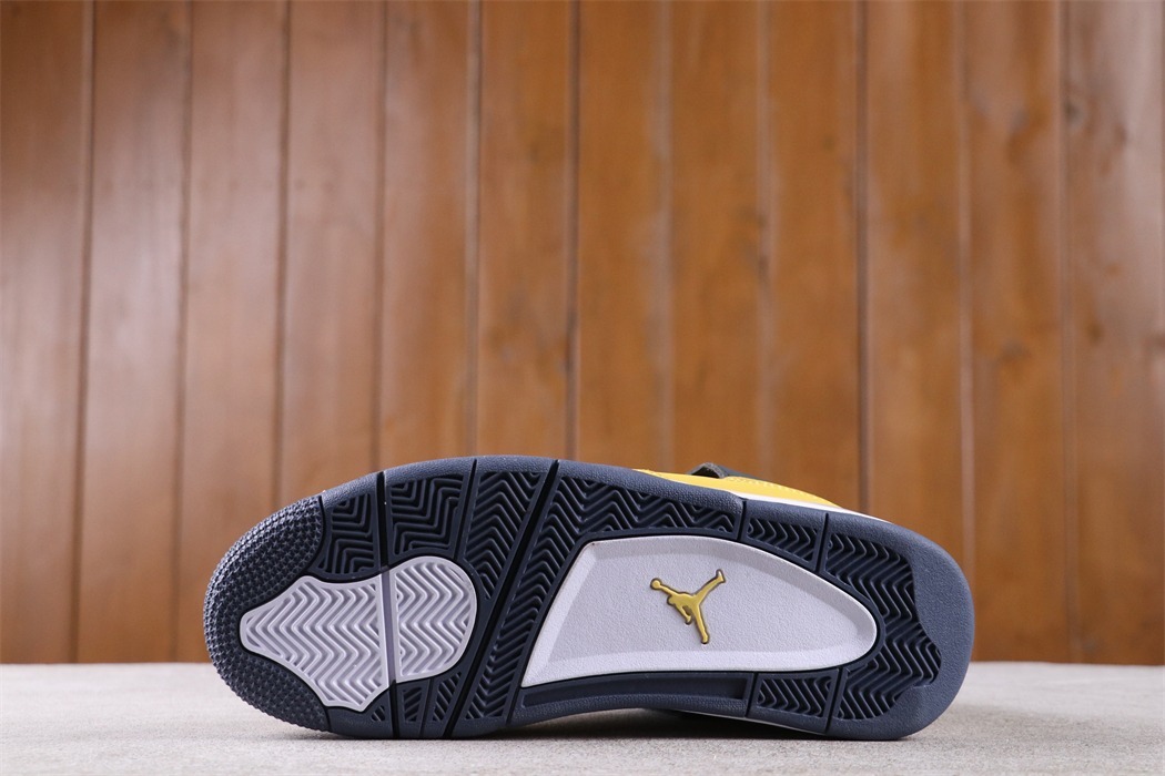Air Jordan 4 Lightning [CT8527-700]