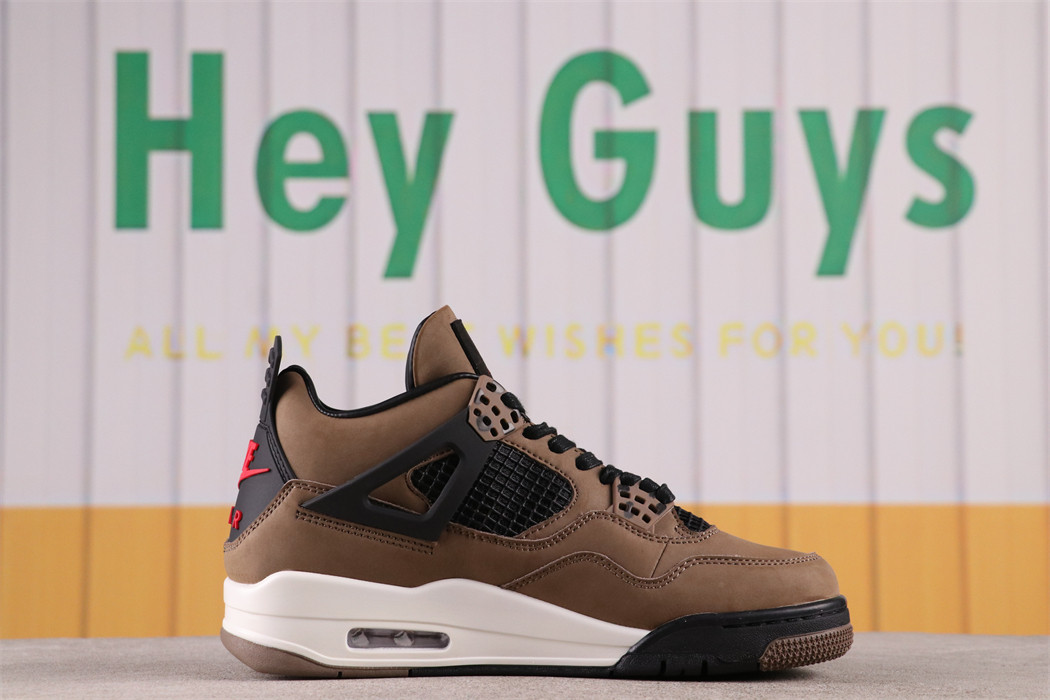 Air Jordan 4 [8823354]