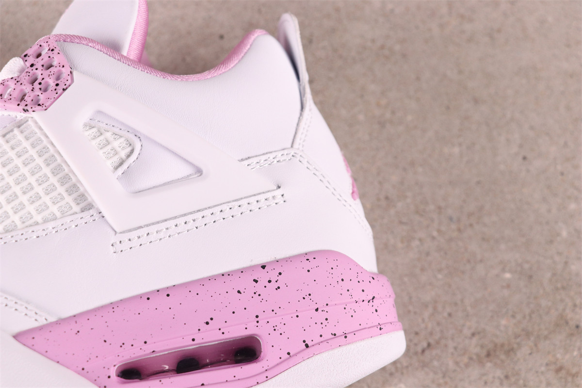 Air Jordan 4 Retro [CT8527-116]
