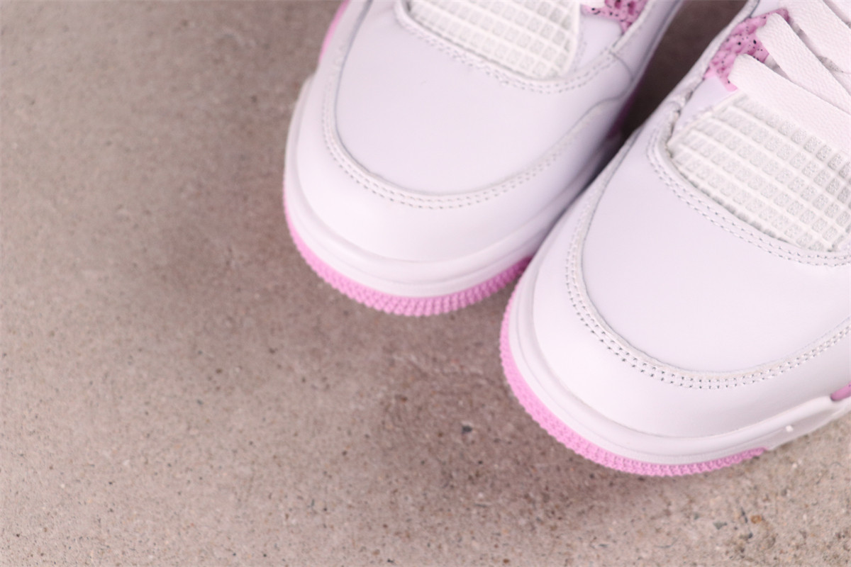 Air Jordan 4 Retro [CT8527-116]