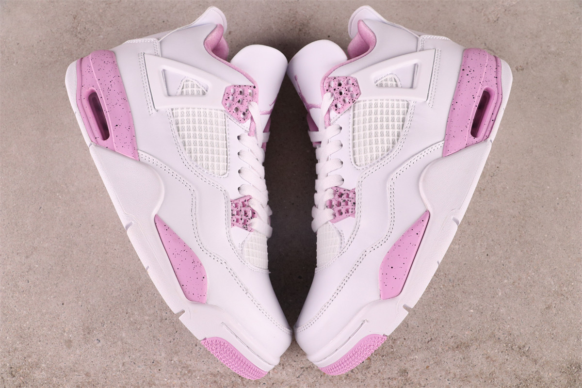 Air Jordan 4 Retro [CT8527-116]