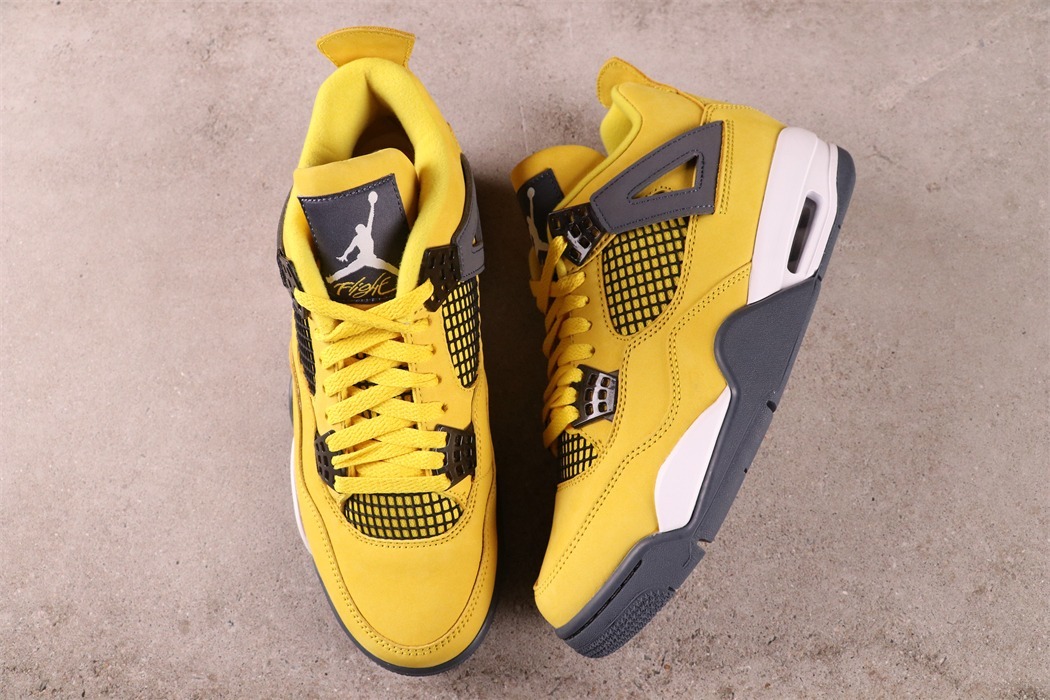 Air Jordan 4 Lightning [CT8527-700]