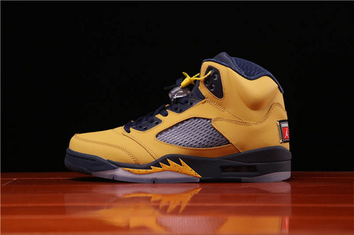 Air Jordan 5 CQ9541-704