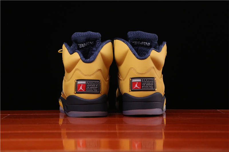 Air Jordan 5 CQ9541-704