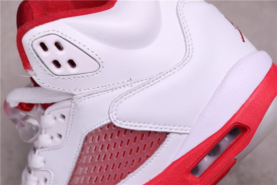 Air Jordan 5 What The 440892-106