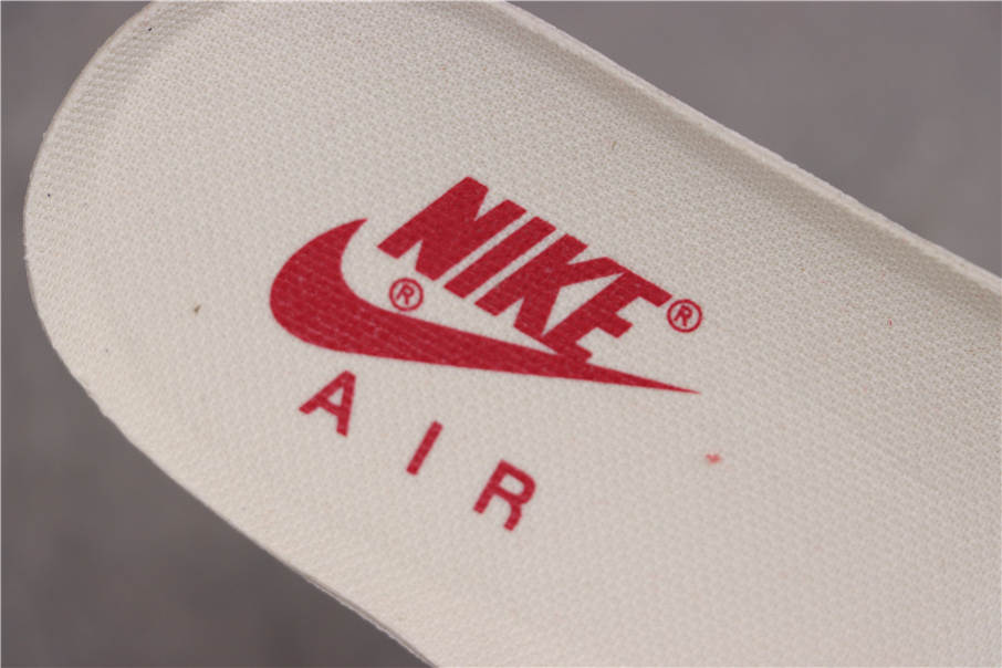 Air Jordan 5 SP Michigan CT8480-100