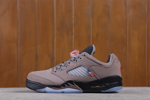 Air Jordan 5 DX6325-202