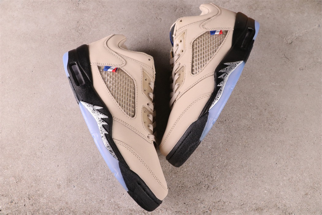 Air Jordan 5 Low x PSG DD2240-100