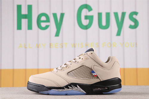Air Jordan 5 Low x PSG DD2240-100