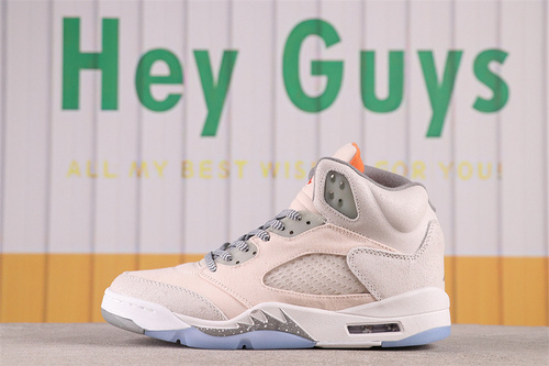 Air Jordan 5 SE "Craft" FD9222-180